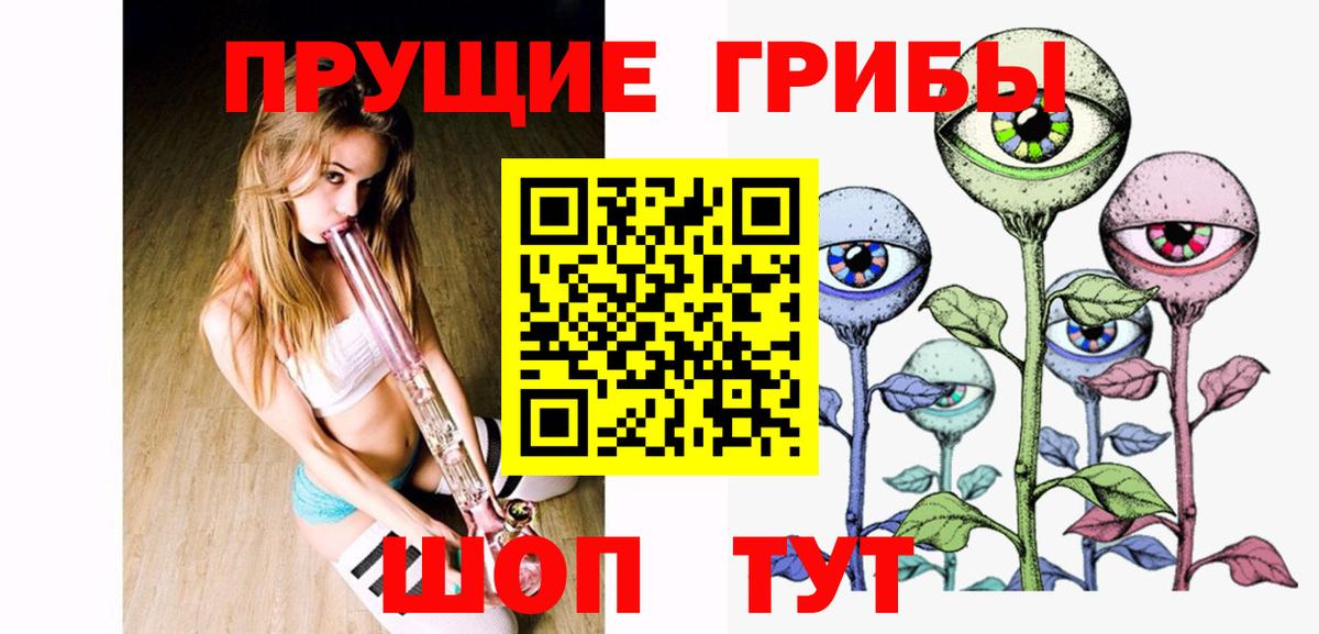 Александров  Галлюциногенные грибы Psilocybine cubensis  Вход с VPN 